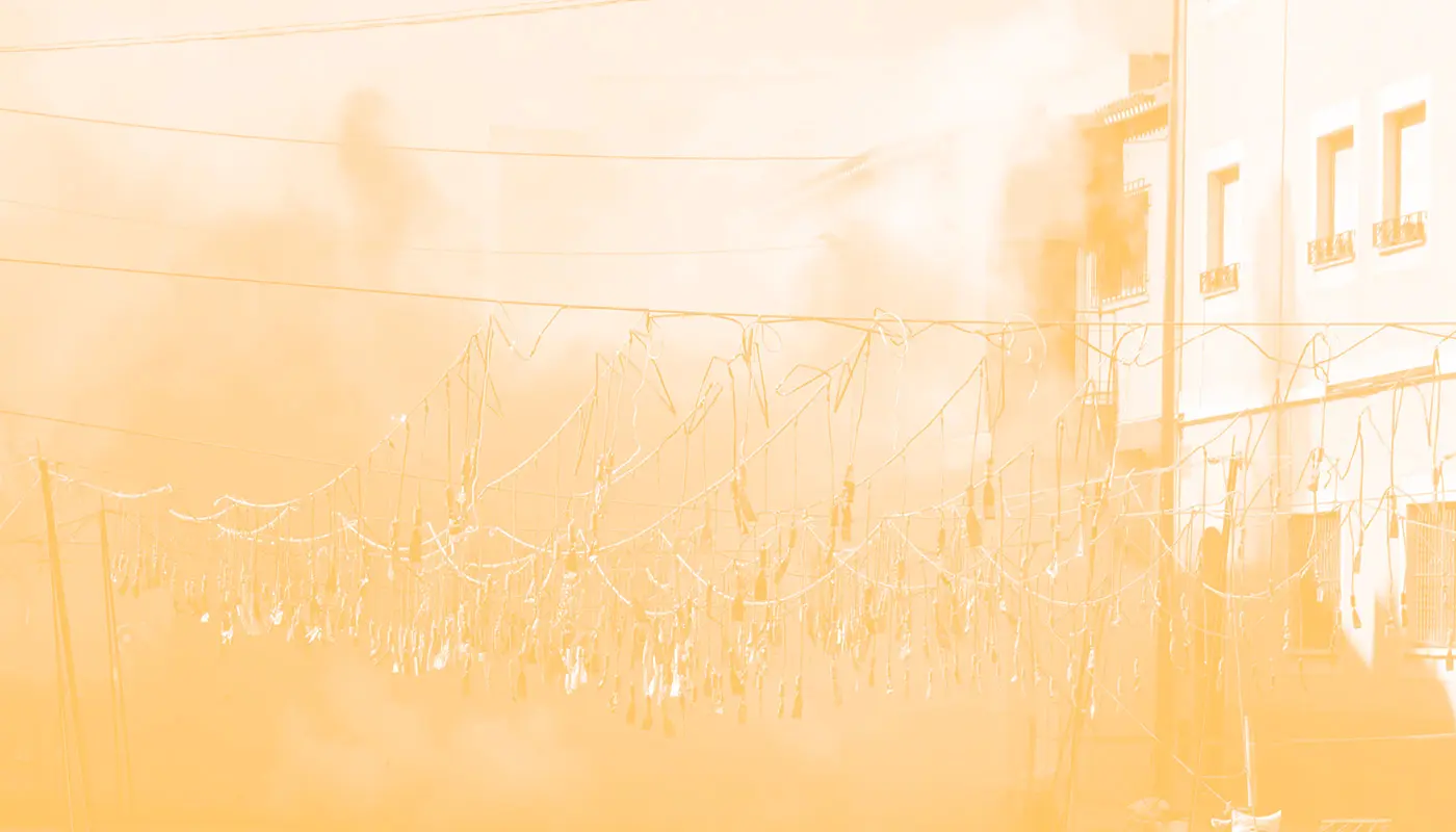 Actes cultura de FJFS